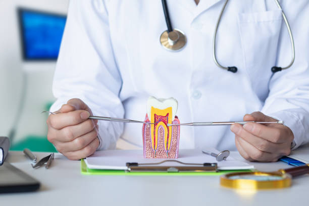 Best Mobile Emergency Dentist in Quinnipiac University, CT